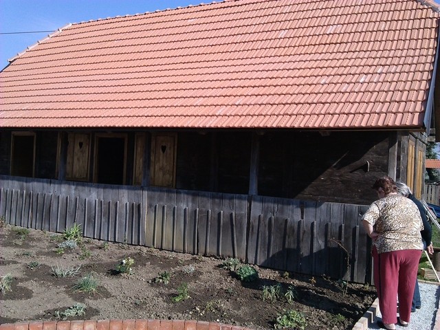 novo čiče kontrola posadjenog